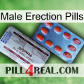 Male Erection Pills 36